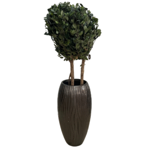Walnut - Grey